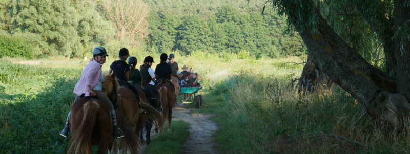 Весенние каникулы 2022 в конном лагере Like Horses Camp
